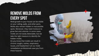 Mold Removal & Remediation Services in Madisonville.pptx