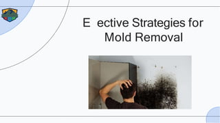E ective Strategies for
Mold Removal
 