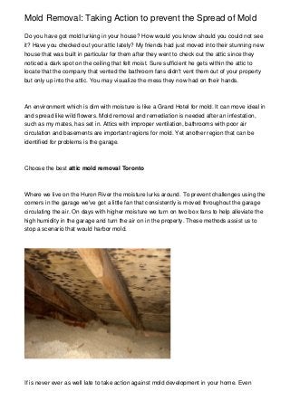 Mold Removal: Taking Action to prevent the Spread of Mold
Do you have got mold lurking in your house? How would you know should you could not see
it? Have you checked out your attic lately? My friends had just moved into their stunning new
house that was built in particular for them after they went to check out the attic since they
noticed a dark spot on the ceiling that felt moist. Sure sufficient he gets within the attic to
locate that the company that vented the bathroom fans didn't vent them out of your property
but only up into the attic. You may visualize the mess they now had on their hands.

An environment which is dim with moisture is like a Grand Hotel for mold. It can move ideal in
and spread like wild flowers. Mold removal and remediation is needed after an infestation,
such as my mates, has set in. Attics with improper ventilation, bathrooms with poor air
circulation and basements are important regions for mold. Yet another region that can be
identified for problems is the garage.

Choose the best attic mold removal Toronto

Where we live on the Huron River the moisture lurks around. To prevent challenges using the
corners in the garage we've got a little fan that consistently is moved throughout the garage
circulating the air. On days with higher moisture we turn on two box fans to help alleviate the
high humidity in the garage and turn the air on in the property. These methods assist us to
stop a scenario that would harbor mold.

If is never ever as well late to take action against mold development in your home. Even

 