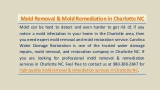 Mold Removal & Mold Remediation in Charlotte NC
Mold can be hard to detect and even harder to get rid of, if you
notice a mold infestation in your home in the Charlotte area, then
you need expert mold removal and mold restoration service. Carolina
Water Damage Restoration is one of the trusted water damage
repairs, mold removal, and restoration company in Charlotte NC. If
you are looking for professional mold removal & remediation
services in Charlotte NC. Feel free to contact us at 980-308-2847 for
high-quality mold removal & remediation services in Charlotte NC.
 