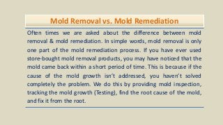 Mold Removal vs. Mold Remediation
Often times we are asked about the difference between mold
removal & mold remediation. In simple words, mold removal is only
one part of the mold remediation process. If you have ever used
store-bought mold removal products, you may have noticed that the
mold came back within a short period of time. This is because if the
cause of the mold growth isn’t addressed, you haven’t solved
completely the problem. We do this by providing mold inspection,
tracking the mold growth (Testing), find the root cause of the mold,
and fix it from the root.
 