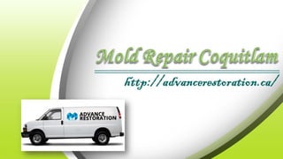 Mold Repair Coquitlam