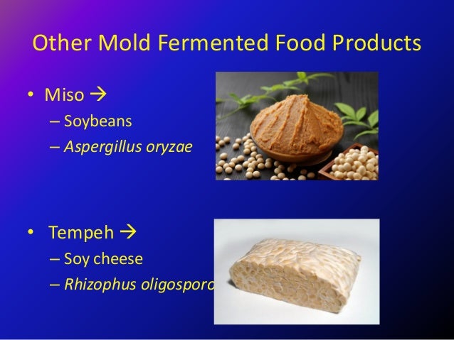 Aspergillus Oryzae Miso aspergillus-oryzae-miso