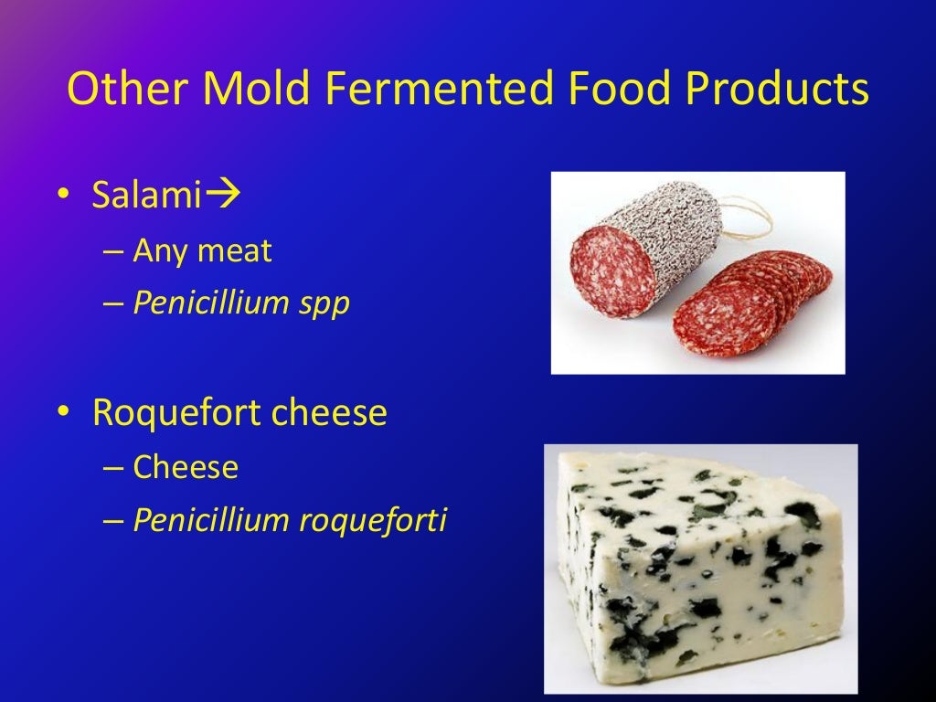Molds and food industry