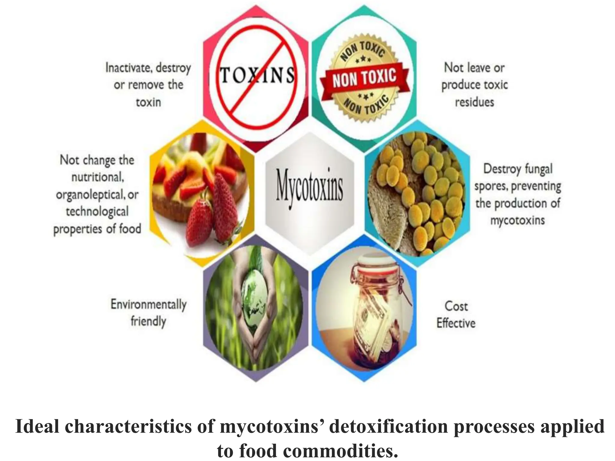 Molds And Mycotoxin Pptx