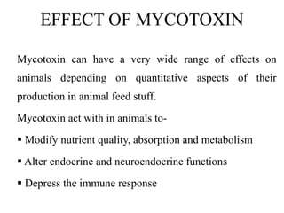 EFFECT OF MYCOTOXIN
Mycotoxin can have a very wide range of effects on
animals depending on quantitative aspects of their
production in animal feed stuff.
Mycotoxin act with in animals to-
 Modify nutrient quality, absorption and metabolism
 Alter endocrine and neuroendocrine functions
 Depress the immune response
 