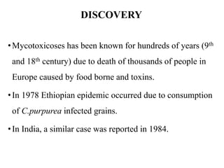 DISCOVERY
•Mycotoxicoses has been known for hundreds of years (9th
and 18th century) due to death of thousands of people in
Europe caused by food borne and toxins.
•In 1978 Ethiopian epidemic occurred due to consumption
of C.purpurea infected grains.
•In India, a similar case was reported in 1984.
 