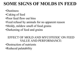 SOME SIGNS OF MOLDS IN FEED
•Dustiness
•Caking of feed
•Poor feed flow out bins
•Feed refusal by animals for no apparent reason
•Moldy, mildew smell of food grains
•Darkening of feed and grains
EFFECT OF MOLD AND MYCOTOXIC ON FEED
VALUE AND PERFORMANCE:
•Destruction of nutrients
•Reduced palatability
 