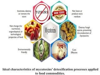 Ideal characteristics of mycotoxins’ detoxification processes applied
to food commodities.
 