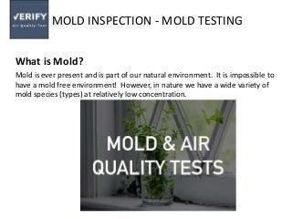MOLD INSPECTION - MOLD TESTING
What is Mold?
Mold is ever present and is part of our natural environment. It is impossible to
have a mold free environment! However, in nature we have a wide variety of
mold species (types) at relatively low concentration.
 