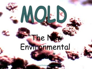 MOLD “ The New Environmental Issue”   ©Environmental Solutions Association, 2003 