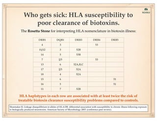Who gets sick: HLA susceptibility to
poor clearance of biotoxins.
The Rosetta Stone for interpreting HLA nomenclature in biotoxin illness:
DRB1

DQB1

DRB3

DRB4

DRB5

4

3

11/12

3

52B

14

5

53B

7

2/3

13

6

52A,B,C

17

2/3

52A

18

4

52A

15

6

51

16

5

51

11

7

53

53

52B

HLA haplotypes in each row are associated with at least twice the risk of
treatable biotoxin clearance susceptibility problems compared to controls.
Shoemaker R. Linkage disequilibrium in alleles of HLA DR: differential association with susceptibility to chronic illness following exposure
to biologically produced neurotoxins. American Society of Microbiology 2003. (conference peer review).

 