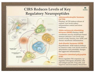 CIRS Reduces Levels of Key
Regulatory Neuropeptides
Adrenocorticotrophic hormone
(ACTH)
Pituitary ACTH induces release of
cortisol. Low levels reduce
inflammation control and stress
resilience.

Alpha melanocyte stimulating
hormone (MSH) Pituitary MSH
coordinates mucous membrane-based
immune defenses. Low levels may
result in leaky barriers, low ADH, and
chronic membrane inflammation.

Anti-diuretic hormone (ADH)
Supraoptic Nucleus
source of ADH

Suprachiasmatic Nucleus
source of VIP
Anterior Pituitary
source of ACTH

Hypothalamic ADH induces kidneys
to conserve water. Low levels result in
dehydration and osmolality changes
that aggravate inflammation.

Vasoactive intestinal polypeptide
(VIP)
Down-regulates Th1 responses, upregulates tolerogenic dendritic cells
and antigen-specific T reg cells, and
improves microcirculatory blood flow.

 