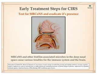 Early Treatment Steps for CIRS
Test for MRCoNS and eradicate it’s presence

MRCoNS and other biofilm-associated microbes in the deep nasal
space cause various troubles for the immune system and the brain.
Shoemaker R, Hudnell K, House D, Domenico P. Association of nasal carriage of methicillin resistant and multiple antibiotic resistant coagulase
negative staphylococci species with deﬁciency of alpha melanocyte stimulating hormone in Chronic Fatigue Syndrome: implication for expanded
treatment options. American Society of Microbiology 2003 (conference peer review).

 