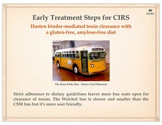 Early Treatment Steps for CIRS
Hasten binder-mediated toxin clearance with
a gluten-free, amylose-free diet

The Rosa Parks Bus - Henry Ford Museum

Strict adherence to dietary guidelines leaves more bus seats open for
clearance of toxins. The Welchol bus is slower and smaller than the
CSM bus but it’s more user friendly.

 