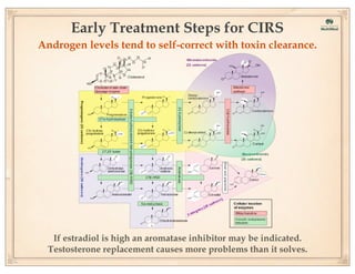 Early Treatment Steps for CIRS
Androgen levels tend to self-correct with toxin clearance.

If estradiol is high an aromatase inhibitor may be indicated.
Testosterone replacement causes more problems than it solves.

 