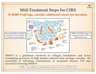 Mid-Treatment Steps for CIRS
If MMP-9 fall lags, consider additional causes for elevation.

Interacting MMPs and TIMPs*
released by varied cell types
in a Breast Ca tumor nodule.

MMPs and TIMPs engage in
ongoing skirmishes in tissue
inflammation zones.

MMP-9 is a gelatinase involved in collagen breakdown and tissue
remodeling processes. If high despite reduced toxin carriage, consider the
possibility of infectious, autoimmune, or neoplastic disease. VIP may
succeed in lowering MMP-9.
*TIMPs = tissue inhibitors of metalloproteinases. Nature Reviews Cancer 2012;2:161-174.

 