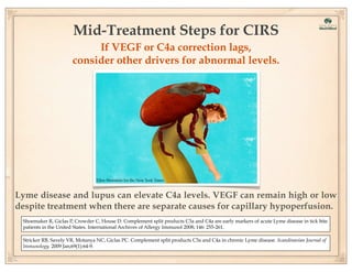 Mid-Treatment Steps for CIRS
If VEGF or C4a correction lags,
consider other drivers for abnormal levels.

Ellen Weinstein for the New York Times

Lyme disease and lupus can elevate C4a levels. VEGF can remain high or low
despite treatment when there are separate causes for capillary hypoperfusion.
Shoemaker R, Giclas P, Crowder C, House D. Complement split products C3a and C4a are early markers of acute Lyme disease in tick bite
patients in the United States. International Archives of Allergy Immunol 2008; 146: 255-261.
Stricker RB, Savely VR, Motanya NC, Giclas PC. Complement split products C3a and C4a in chronic Lyme disease. Scandinavian Journal of
Immunology. 2009 Jan;69(1):64-9.

 