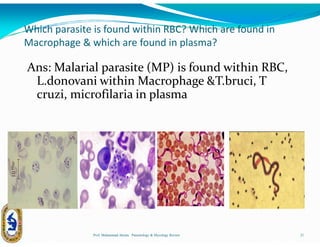 Parasitology & mycology review | PDF
