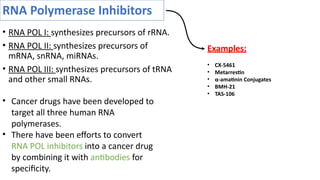 RNA Polymerase Inhibitors
• RNA POL I: synthesizes precursors of rRNA.
• RNA POL II: synthesizes precursors of
mRNA, snRNA, miRNAs.
• RNA POL III: synthesizes precursors of tRNA
and other small RNAs.
• Cancer drugs have been developed to
target all three human RNA
polymerases.
• There have been efforts to convert
RNA POL inhibitors into a cancer drug
by combining it with antibodies for
specificity.
Examples:
• CX-5461
• Metarrestin
• α-amatinin Conjugates
• BMH-21
• TAS-106
 