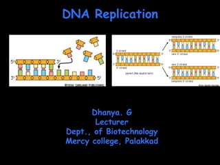 DNA Replication
Dhanya. G
Lecturer
Dept., of Biotechnology
Mercy college, Palakkad
 