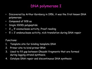 DNA polymerase I
• Discovered by Arthur Kornberg in 1956, it was the first known DNA
polymerase
• Composed of 928 aa
• Single 102KD polypeptide
• 3’ 5’ exonuclease activity, Proof reading
• 5’ 3’ endonuclease activity, nick translation during DNA repair
Functions:
1. Template site for binding template DNA
2. Primer site to bind primer RNA
3. Used to fill gap between Okazaki fragments that are formed
during lagging strand synthesis.
4. Catalyse DNA repair and discontinuous DNA synthesis
 