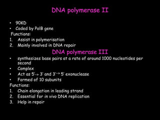 DNA polymerase II
• 90KD
• Coded by PolB gene
Functions:
1. Assist in polymerisation
2. Mainly involved in DNA repair
DNA polymerase III
• synthesizes base pairs at a rate of around 1000 nucleotides per
second
• Complex
• Act as 5’ 3’ and 3’ 5’ exonuclease
• Formed of 10 subunits
Functions:
1. Chain elongation in leading strand
2. Essential for in vivo DNA replication
3. Help in repair
 