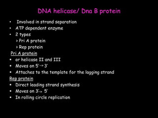 DNA helicase/ Dna B protein
• Involved in strand separation
• ATP dependent enzyme
• 2 types
> Pri A protein
> Rep protein
Pri A protein
 or helicase II and III
 Moves on 5’ 3’
 Attaches to the template for the lagging strand
Rep protein
 Direct leading strand synthesis
 Moves on 3’ 5’
 In rolling circle replication
 
