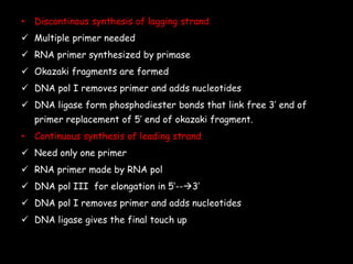 • Discontinous synthesis of lagging strand
 Multiple primer needed
 RNA primer synthesized by primase
 Okazaki fragments are formed
 DNA pol I removes primer and adds nucleotides
 DNA ligase form phosphodiester bonds that link free 3’ end of
primer replacement of 5’ end of okazaki fragment.
• Continuous synthesis of leading strand
 Need only one primer
 RNA primer made by RNA pol
 DNA pol III for elongation in 5’--3’
 DNA pol I removes primer and adds nucleotides
 DNA ligase gives the final touch up
 