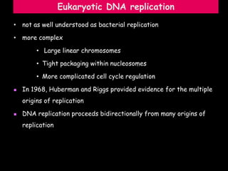 Eukaryotic DNA replication
• not as well understood as bacterial replication
• more complex
• Large linear chromosomes
• Tight packaging within nucleosomes
• More complicated cell cycle regulation
 In 1968, Huberman and Riggs provided evidence for the multiple
origins of replication
 DNA replication proceeds bidirectionally from many origins of
replication
 