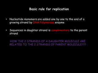 Basic rule for replication
• Nucleotide monomers are added one by one to the end of a
growing strand by DNA Polymerase enzyme
• Sequences in daughter strand is complimentary to the parent
strand
HOW THE 2 STRANDS OF A DAUGHTER MOLECULE ARE
RELATED TO THE 2 STRANDS OF PARENT MOLECULE???
 
