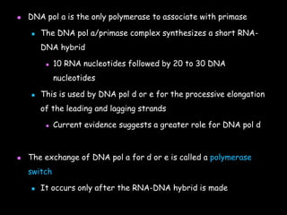  DNA pol a is the only polymerase to associate with primase
 The DNA pol a/primase complex synthesizes a short RNA-
DNA hybrid
 10 RNA nucleotides followed by 20 to 30 DNA
nucleotides
 This is used by DNA pol d or e for the processive elongation
of the leading and lagging strands
 Current evidence suggests a greater role for DNA pol d
 The exchange of DNA pol a for d or e is called a polymerase
switch
 It occurs only after the RNA-DNA hybrid is made
 