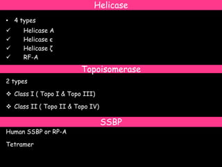Helicase
• 4 types
 Helicase A
 Helicase є
 Helicase ζ
 RF-A
2 types
 Class I ( Topo I & Topo III)
 Class II ( Topo II & Topo IV)
Human SSBP or RP-A
Tetramer
Topoisomerase
SSBP
 
