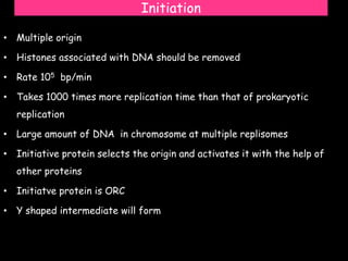 Initiation
• Multiple origin
• Histones associated with DNA should be removed
• Rate 105 bp/min
• Takes 1000 times more replication time than that of prokaryotic
replication
• Large amount of DNA in chromosome at multiple replisomes
• Initiative protein selects the origin and activates it with the help of
other proteins
• Initiatve protein is ORC
• Y shaped intermediate will form
 