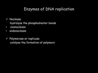 Enzymes of DNA replication
 Nuclease
hydrolyse the phosphodiester bonds
• exonuclease
• endonuclease
 Polymerase or replicase
catalyse the formation of polymers
 
