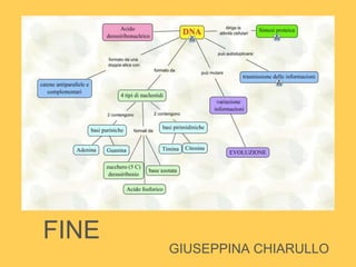 FINE
GIUSEPPINA CHIARULLO
 
