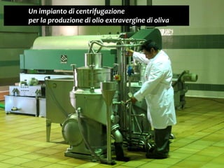 84
Un impianto di centrifugazione
per la produzione di olio extravergine di oliva
 