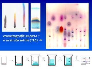 87
cromatografie su carta ↑
o su strato sottile (TLC) ➔
 