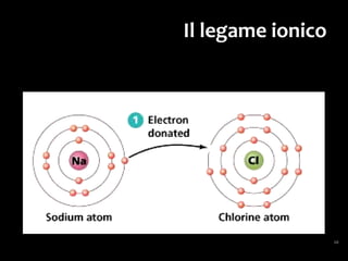 Il legame ionico
Cristalli di cloruro
di sodio
(sale da cucina,
salgemma)
 