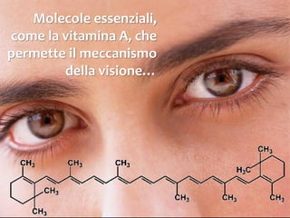 Il legame covalente puro
I due elettroni condivisi formano una nube
elettronica che avvolge ambedue i nuclei,
distribuendosi simmetricamente rispetto a
essi.
 