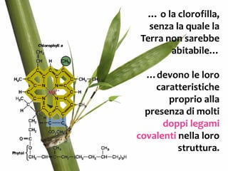 Il legame covalente polare
Si forma fra 2 atomi
di 2 diversi elementi,
uno dei quali ha un’affinità per gli elettroni
maggiore rispetto all’altro.
 