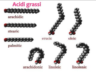 I legami deboli
Si formano fra molecole diverse,
 