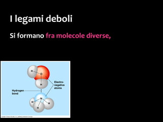 Dipoli indotti
… che a sua volta
ne induce una nella
molecola adiacente:
una specie di «contagio»
di cariche parziali
momentanee.
 