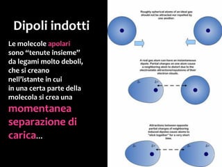 Inoltre le molecole devono avere
forma adatta a permettere
la formazione di questi legami.
 