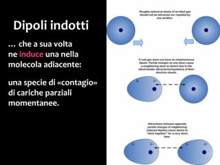 Molecole rettilinee formano più legami rispetto
a molecole con pieghe,
o globulari, o ramificate.
 