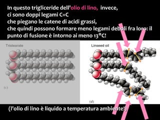 I legami deboli
Oltre alle interazioni di Van der Waals,
dei legami deboli fanno parte anche:
• le interazioni ione-dipolo,
• le interazioni dipolo-dipolo,
 