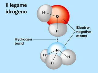 La molecola d’acqua
è formata dal legame di una molecola di ossigeno (O)
con due atomi di idrogeno (H).
La sua formula chimica è quindi H2O
 