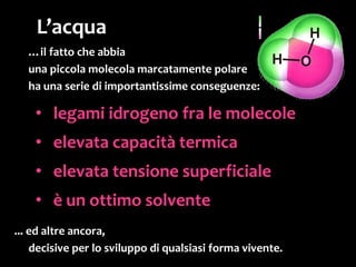 I materiali idrofili
(ad esempio, i polisaccaridi
come la cellulosa)
si legano all’acqua
proprio perché sono costituiti da molecole
polari.
 