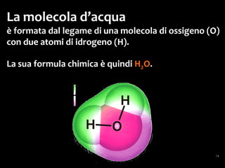 Le sostanze idrofobe sono apolari:
non offrono “appiglio”
alle cariche elettrostatiche
delle molecole d’acqua,
che quindi restano legate fra loro.
 