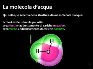 Sostanze idrofobe…
…o idrofile!
 